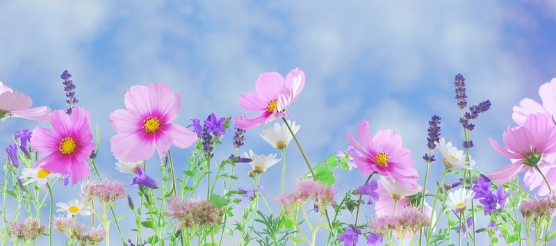 Fantasy Gardening